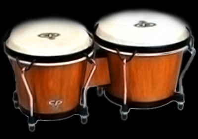 bongo